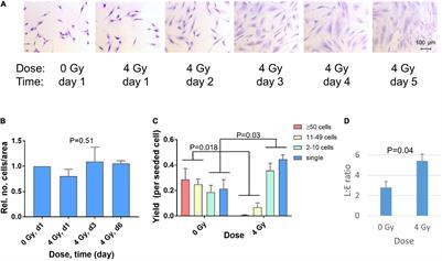 Gene Expression Profiles Reveal Extracellular Matrix and Inflammatory Signaling in Radiation-Induced Premature Differentiation of Human Fibroblast in vitro